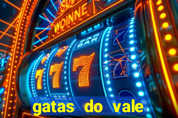 gatas do vale juazeiro bahia